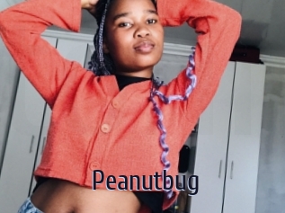 Peanutbug