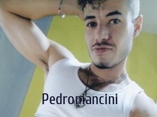 pedromancini Topp Finder