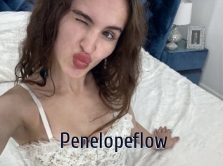 Penelopeflow