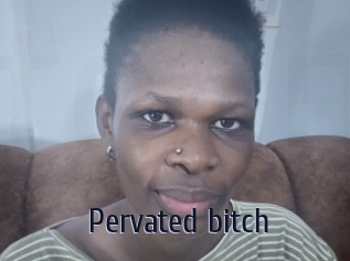 Pervated_bitch