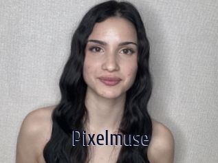 Pixelmuse