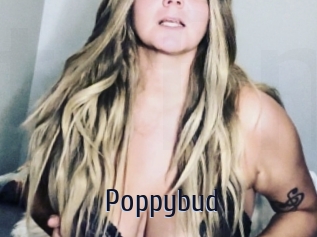 Poppybud