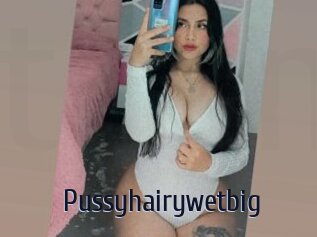 Pussyhairywetbig