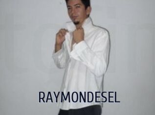 RAYMONDESEL