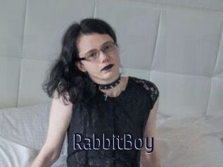 RabbitBoy