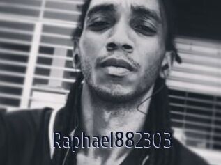 Raphael882303