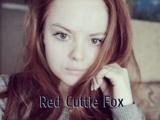 Red_Cuttie_Fox