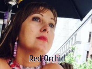 Red_Orchid