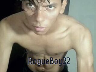 RogueBoy22