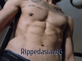 Rippedasian66