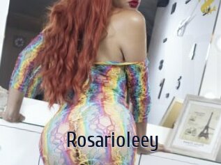 Rosarioleey