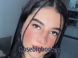 Rosebigboobss