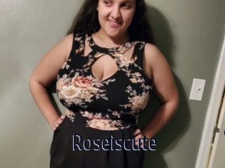 Roseiscute