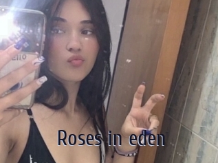 Roses_in_eden