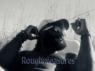 Roughpleasures