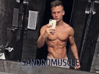 SANDRO_MUSCLE