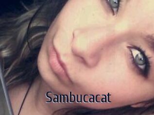 Sambucacat