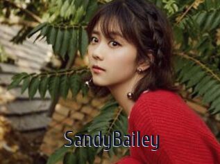 SandyBailey