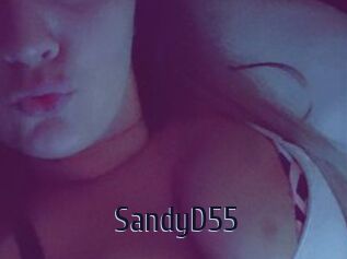 SandyD55