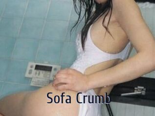 Sofa_Crumb