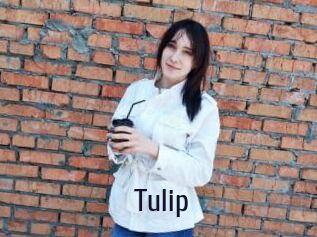 Tulip