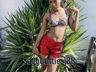 Saggytitties188