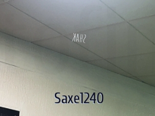 Saxe1240