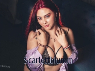 Scarlettblumm