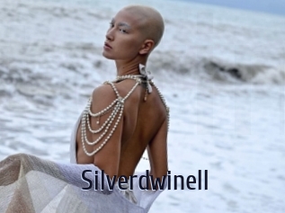 Silverdwinell