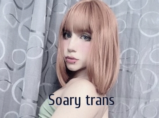 Soary_trans