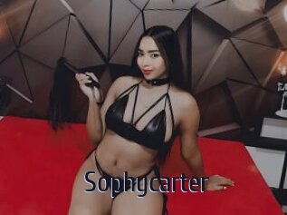 Sophycarter