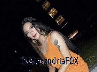 TSAlexandriaFOX