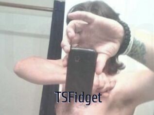 TSFidget