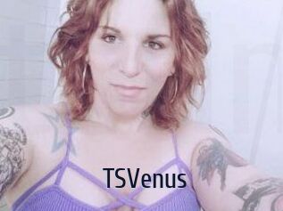 TS_Venus