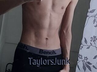 TaylorsJunk