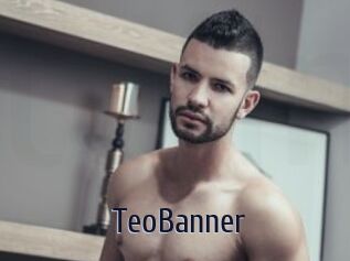 TeoBanner