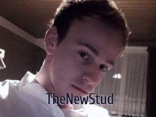 TheNewStud