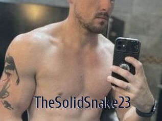 TheSolidSnake23