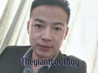 Thegiantrootboy