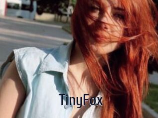 TinyFox