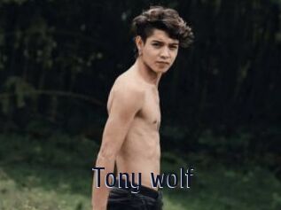 Tony_wolf