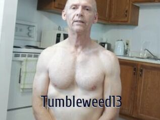 Tumbleweed13