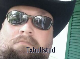 Txbullstud