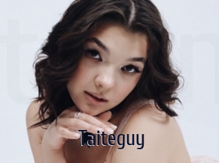 Taiteguy