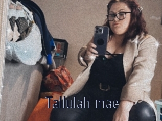 Tallulah_mae