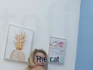 The_cat