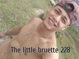 The_little_bruette_228