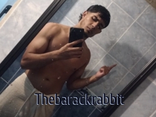 Thebarackrabbit