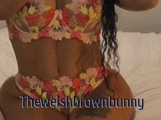 Thewelshbrownbunny