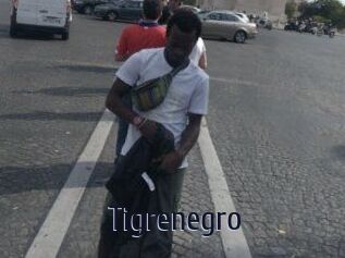 Tigrenegro